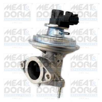 EGR Valve